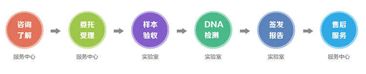 杭州隐私亲子鉴定流程